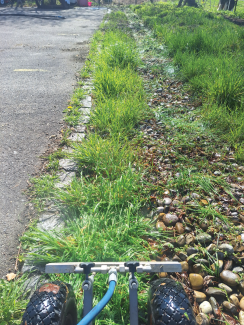 Unkrautbekämpfung ohne Chemie